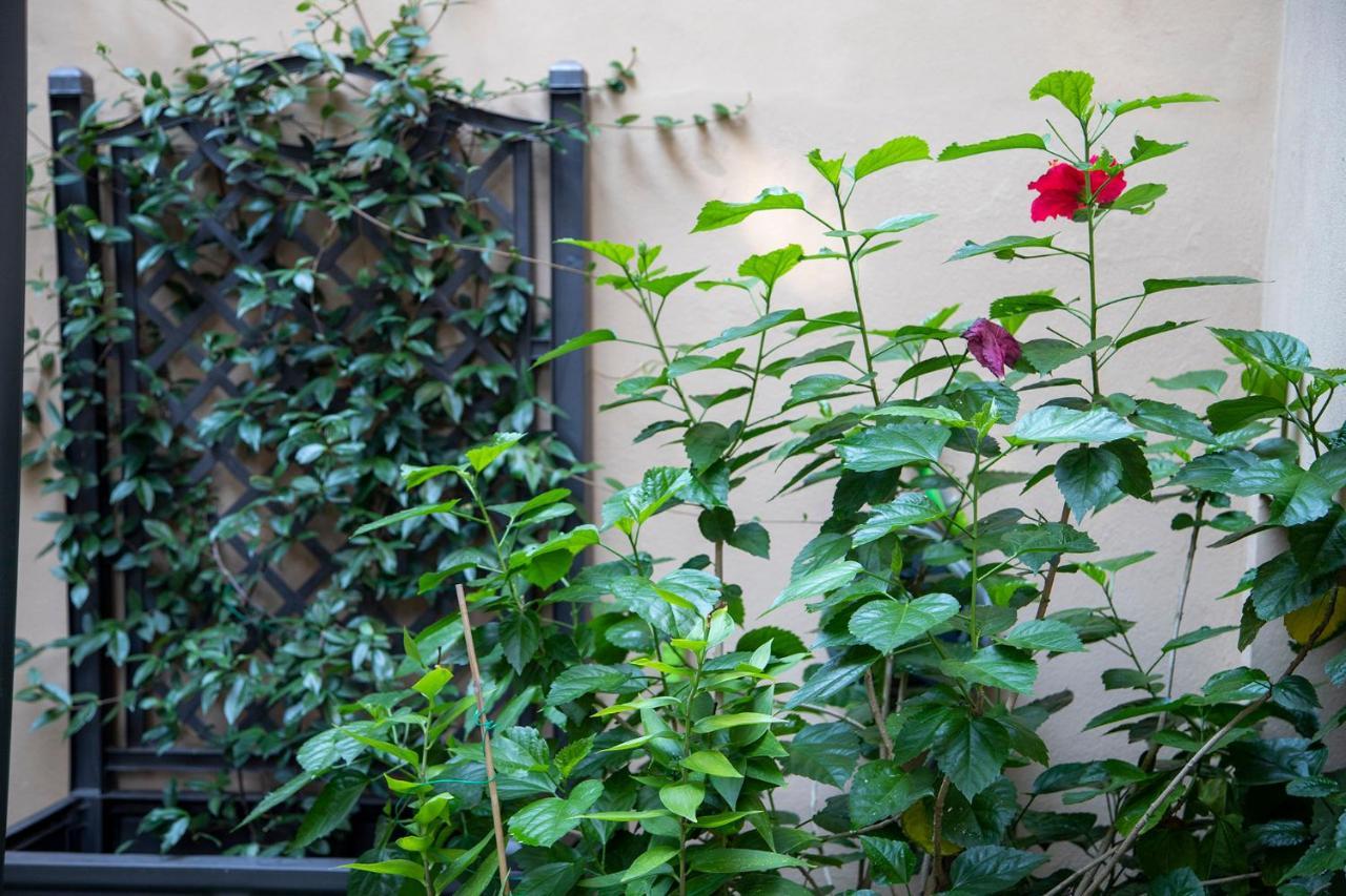 B&B I Propilei Di San Girolamo Rimini Dış mekan fotoğraf